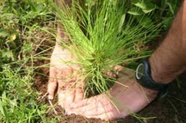 Conservación de la naturaleza