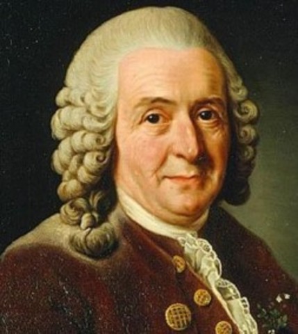 Clasificación y evolución (Linneo)