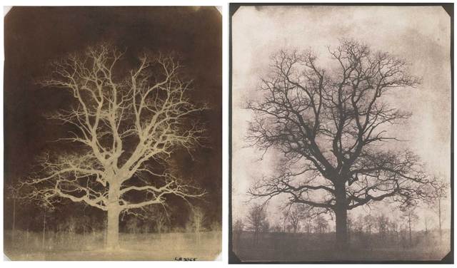Calotype photography