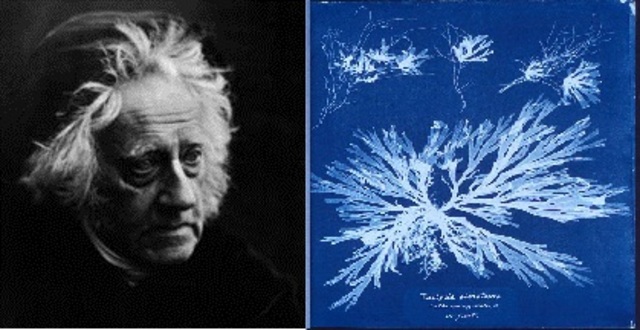 John Frederick William Herschel introduced cyanotype.
