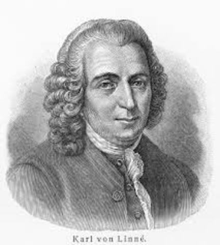 Clasificación y evolucion (Linneo)