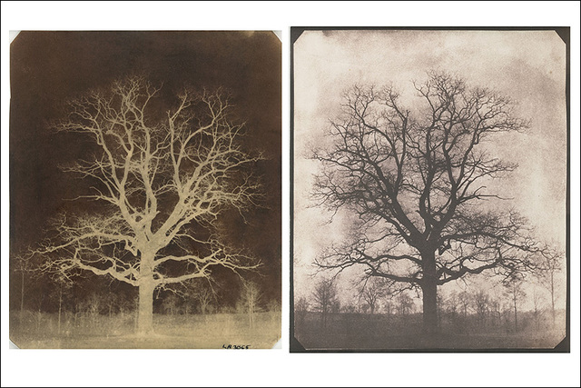 Calotype was invented