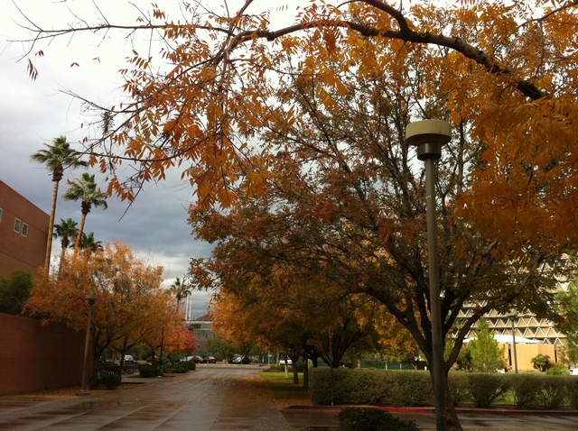 Began College at ASU