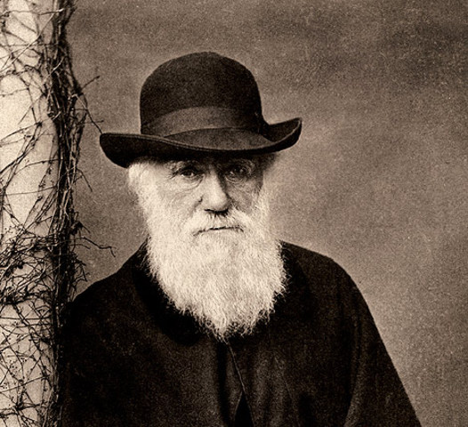 teoría evolucionista de Darwin