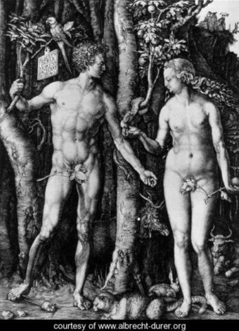 Fall of Man- High Northern