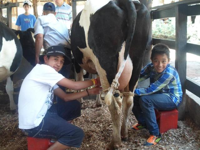 Nacimiento de mi hermano