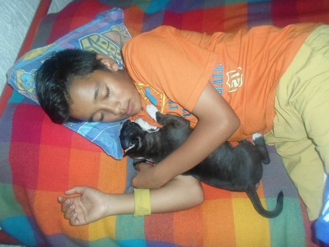 LLEGA EL ANUNCIO DEL NACIMIENTO DE UN NUEVO MIEMBRO DE LA FAMILIA