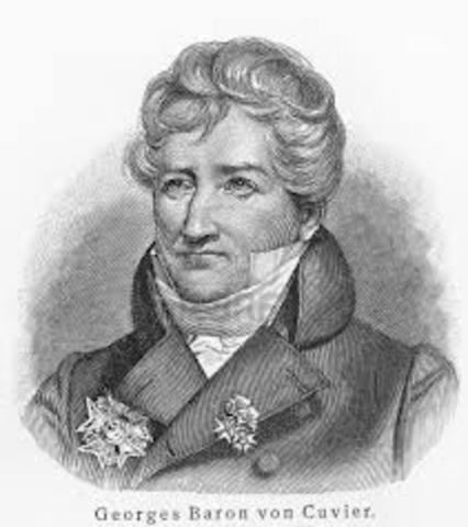 Paleontología y evolución