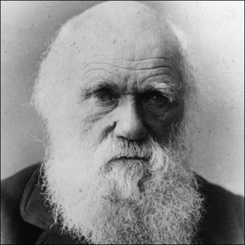 Social Darwinsim