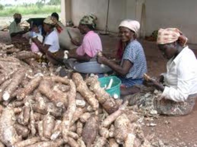 La naturaleza pide ayuda