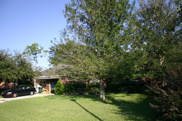 I moved in to my new house