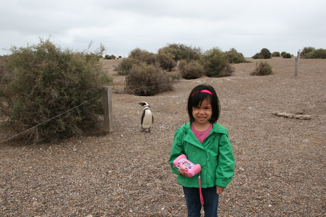 My trip to South America