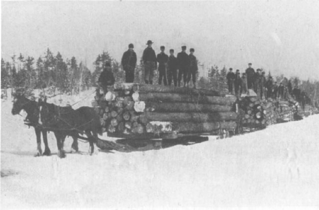 Logging and Forestry