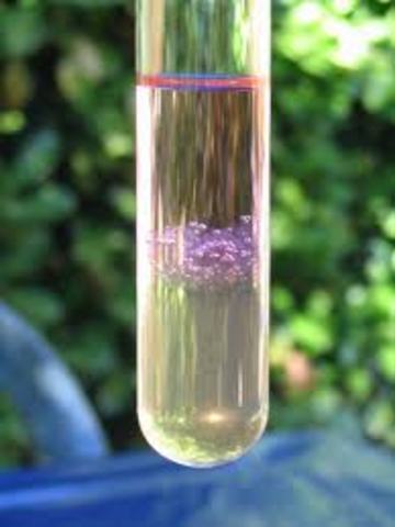 DNA Isolated from a Cell - Miescher