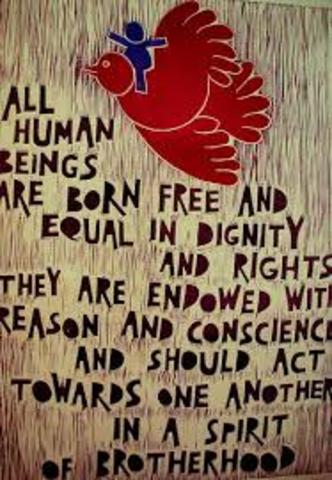 Declaration of human rights