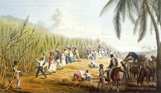 Beggining of a Large Scale introduction of African Slave Labour in the British Caribbean for Sugar Production
