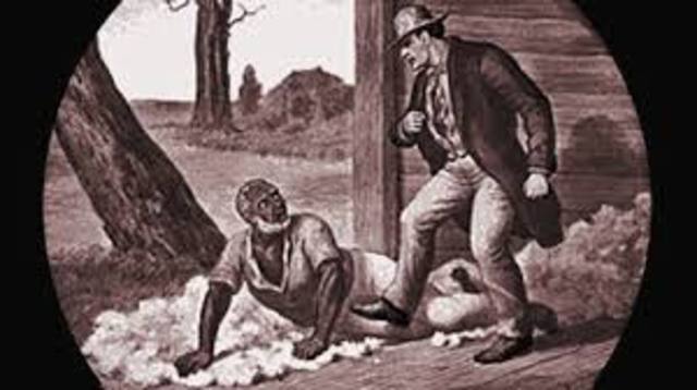 Carribean salve-labour