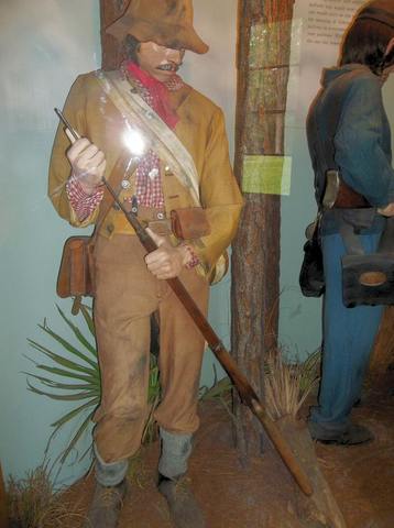 Butternuts in Illinois