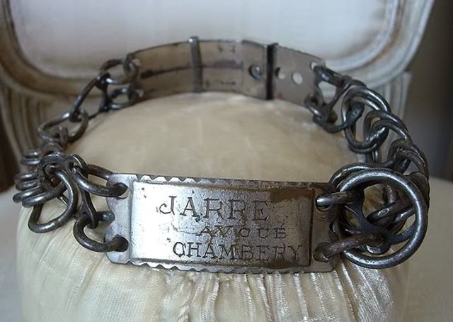 Dog Collars and a new Haircut