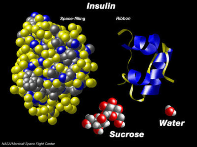 Insulin