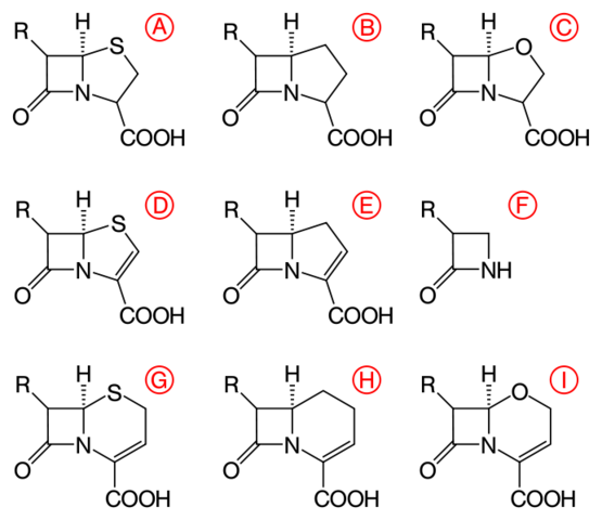 Structurally modified Antibiotics