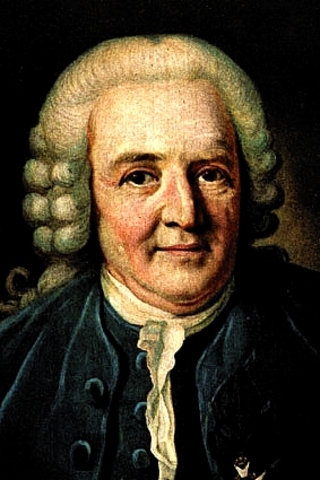 Carlos Linneo (1707-1778)