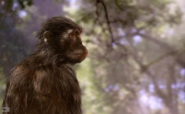 Los pre-australopitecinos 6000 a.c.