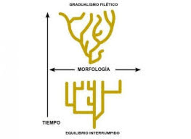 Teoria del equilibrio puntado.