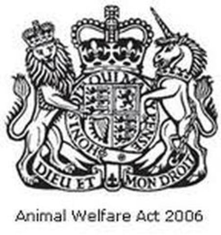 Animal Welfare Act