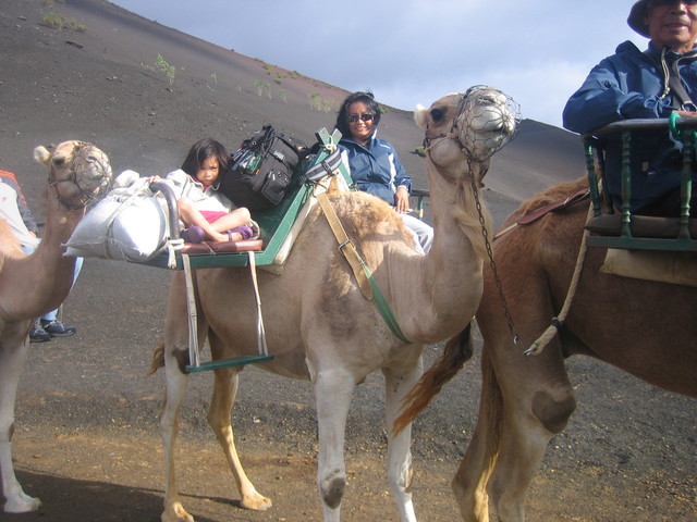 My trip to the Canary Islands, Spain,and Morocco