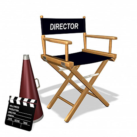 Movie Director