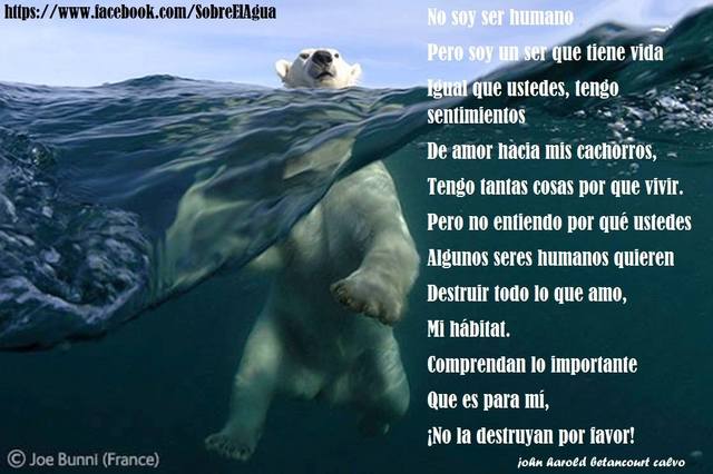 Conciencia