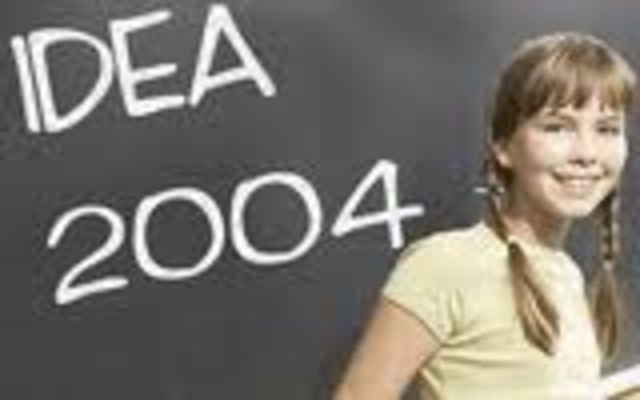 IDEA 2004