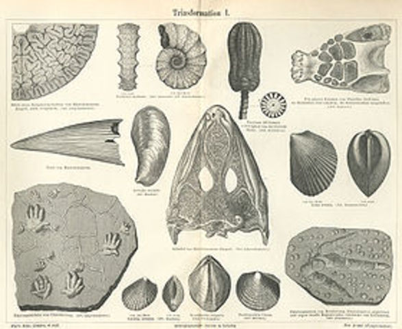 Mesozoíco (triásico)