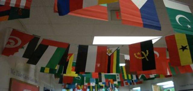 International Family Night!