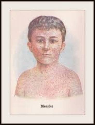 Place :Alleghany mountain Camp tiptop