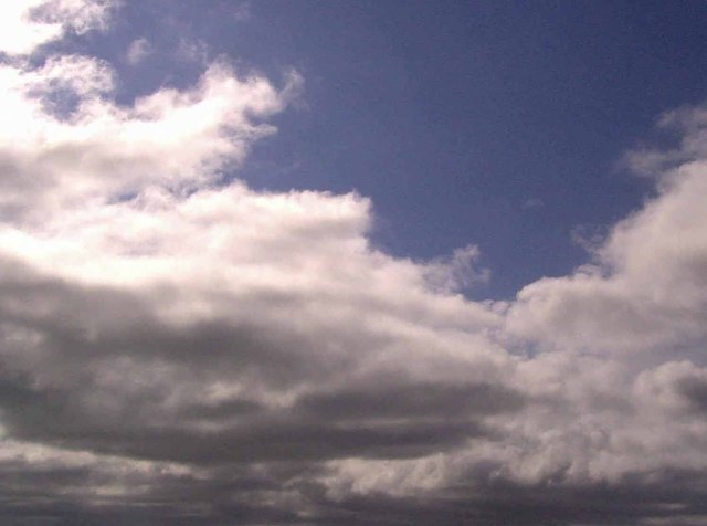 Desarrollo Del Surgimiento