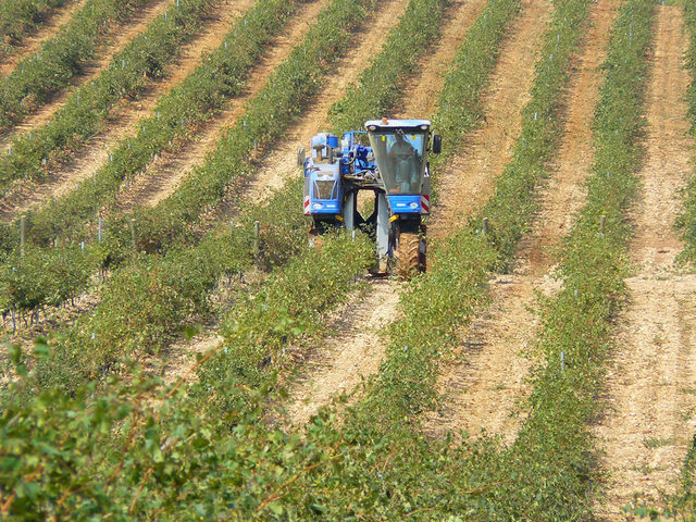 Creciemiento en la poblacion