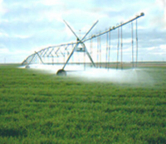 tendencias de agricultura en la actualidad