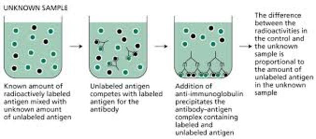 Radio-inmuno ensayos (RIA).