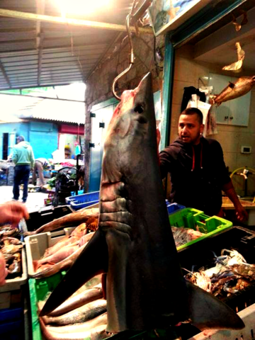 בשוק בעכו, יום שבת