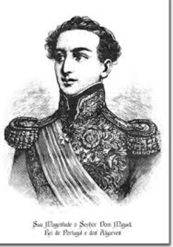 D.Miguel e as Câmaras