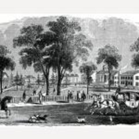 university of GA established