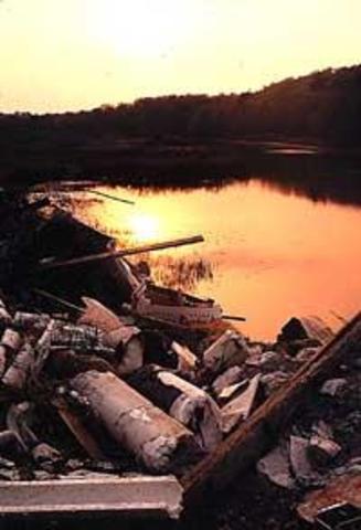 Pollution in the Dams