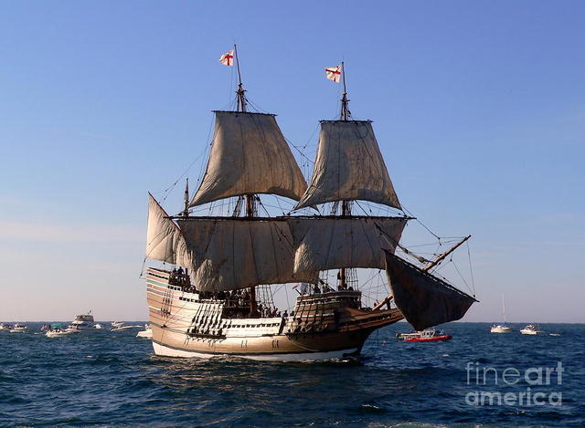 MayFlower