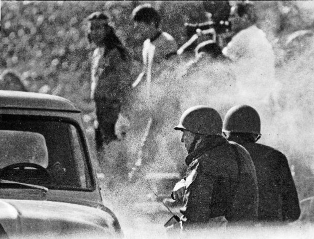 Fish Wars - violent raid