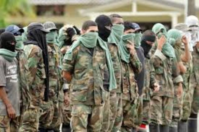 Reducción de las BACRIM