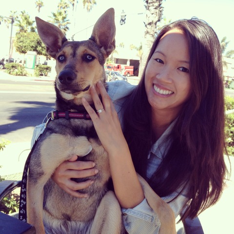 Blue's Gonna Have a Daddy!