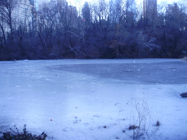 Talking with Old Spencer