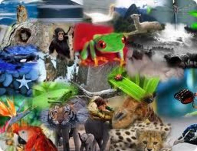 Peligro de extincion.